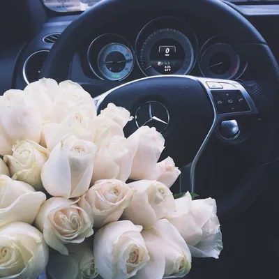 Белые розы в машине - 68 фото