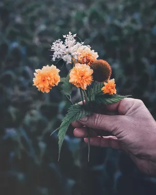 Фото В руке парня цветы, by starrush
