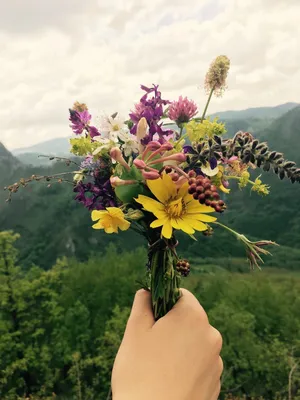 Полевые цветы в руках (63 фото) »