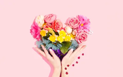 Фотографии серце букет розовых Цветы Руки Розовый фон