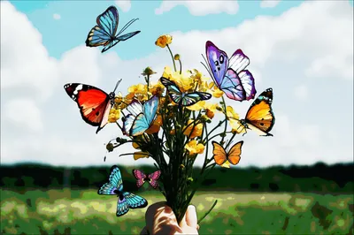 Красивые цветы и бабочки рисунки - 67 фото