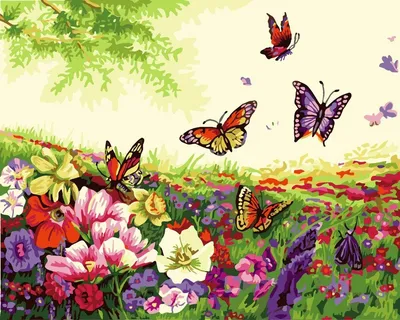 Картинка луга с цветами и бабочками - 68 фото