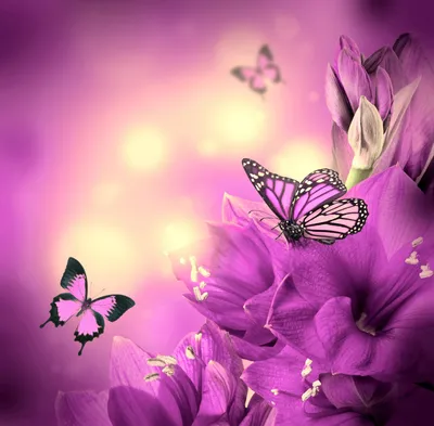Фиолетовое волшебство с цветами и бабочками - обои на телефон