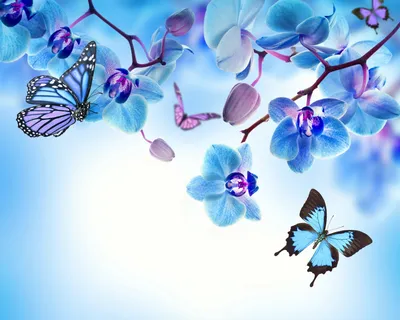 Орхидея с красивыми голубыми бабочками | Обои для телефона