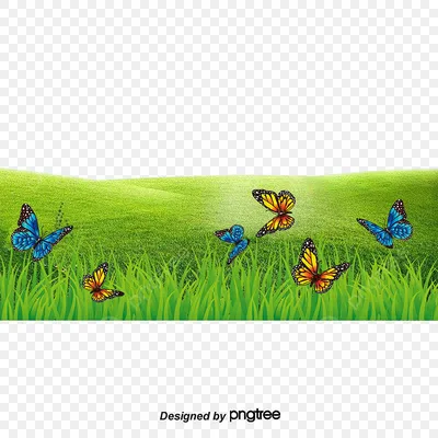 цветы бабочки трава PNG , цветы, луг, бабочка PNG картинки и пнг PSD  рисунок для бесплатной загрузки
