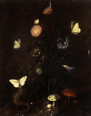 Кристиан Янс ван Стрип - Цветы, ящерица и бабочки: Описание произведения |  Артхив