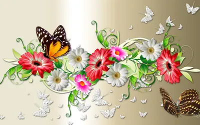 Цветы и бабочки рисунки - 70 фото