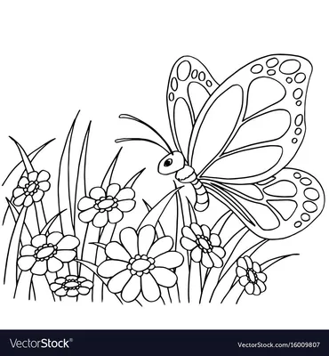 Бабочки и цветы раскраска - 75 фото