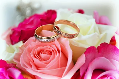 Розы и обручальные кольца - 63 фото