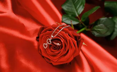 Обои на монитор | Цветы | романтика, Любовь, роза, цветок, кольцо