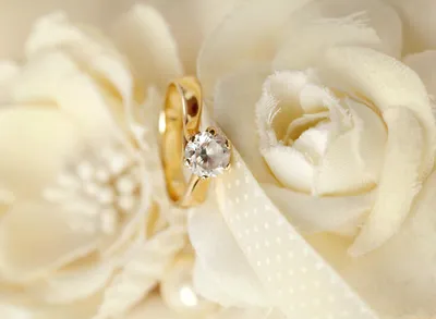 Скачать обои цветы, кольца, свадьба, flowers, background, ring, soft,  wedding, lace, раздел праздники в разрешении 1920x1408