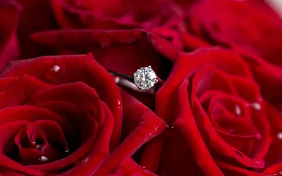 Цветы и кольцо фото