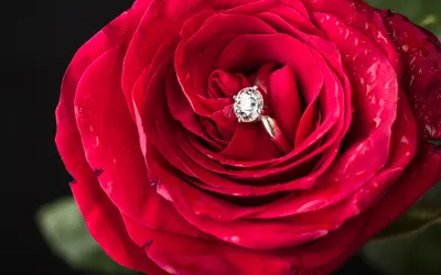 Цветы (серебряное кольцо) купить в ювелирном магазине в Москве.