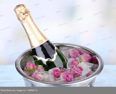 Замороженные розовые цветы в кубиках льда и бутылка шампанского в ведре, на  светлом фоне :: Стоковая фотография :: Pixel-Shot Studio