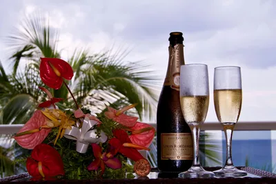 Букет цветов рядом с двумя бокалами и бутылкой шампанского - обои на  рабочий стол
