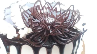 108) ЦВЕТОК из шоколада. Шоколадное украшение для торта. Flower of  chocolate. - YouTube | Шоколадные украшения, Шоколад, Шоколадные розы