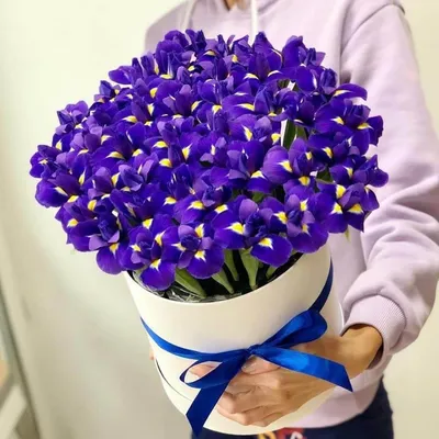 51 ирис в коробке на 23 февраля за 6 490 руб. | Бесплатная доставка цветов  по Москве