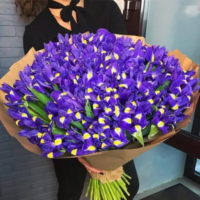 Букет 101 фиолетовый ирис купить с доставкой в СПб