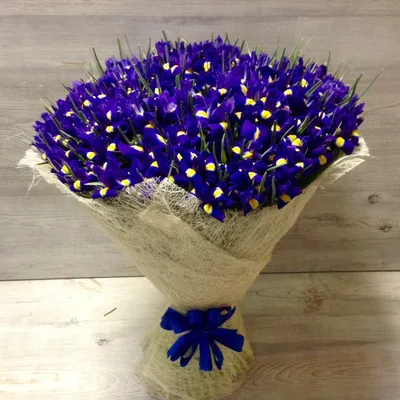 Букет из 75 ирисов – купить в Иркутске с доставкой по низкой цене в  магазине цветов Flowers For Your Soul