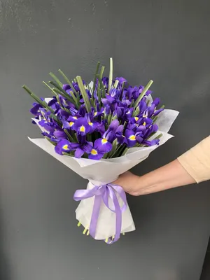 Букет из 35 фиолетовых ирисов в упаковке купить в Твери по цене 3100 рублей  | Камелия