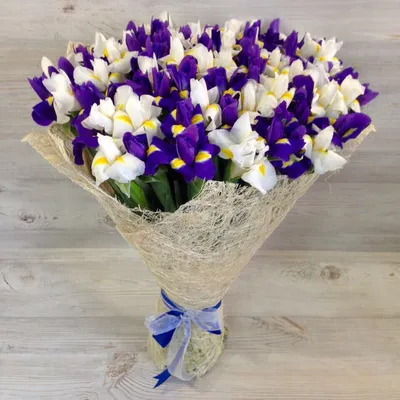 101 бело-фиолетовый ирис в букете за 11 790 руб. | Бесплатная доставка  цветов по Москве