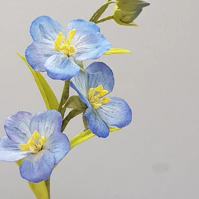 Сахарный цветок льна онлайн мастер класс от Евгения Бочарова