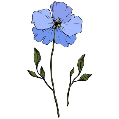 Лицензионное векторное графическое изображение Синий Цветок Льна С Зелеными  Листьями, Изолированными