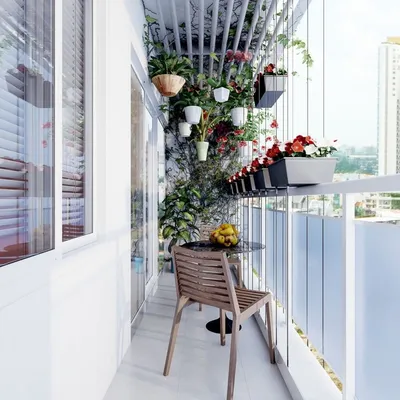 Цветы на застекленном балконе - 74 фото