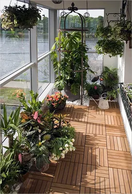 Зимний сад дома на маленьком балконе
