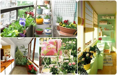 Как украсить балкон цветами: идеи и полезные советы