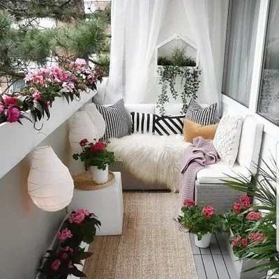 Цветы для солнечного балкона - 73 фото