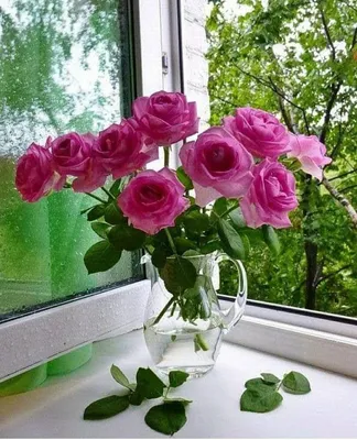 Цветы в вазе на окне - 70 фото