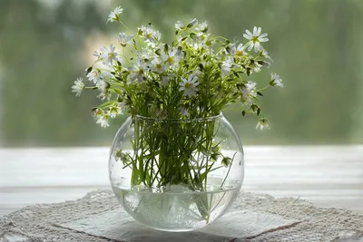 Полевые цветы в стеклянной вазе на окне.. Фотограф Наталья Бочкарева