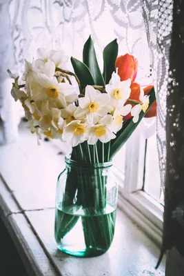 Весна за окном | Beautiful flowers, Flowers, Love images