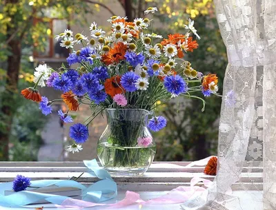 Натюрморт из цветов на фоне окна - обои на рабочий стол