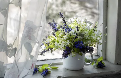 Фото Букет полевых цветов в кружке на окне, фотограф Наталья Бочкарева