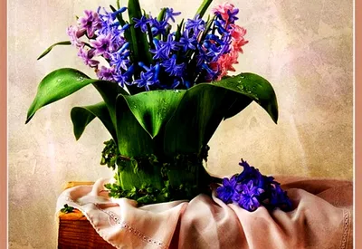 Цветы, Натюрморт, Букет - заставка на рабочий стол | Скачать Лучшие  Бесплатно картинки