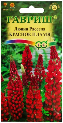 Семена цветов Люпин Красное пламя, 0,5 г — купить в интернет-магазине по  низкой цене на Яндекс Маркете