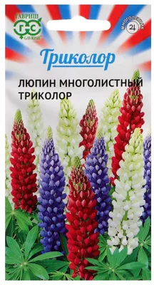Семена цветов Люпин \"Триколор\", смесь, 0,6 г — купить в интернет-магазине  по низкой цене на Яндекс Маркете