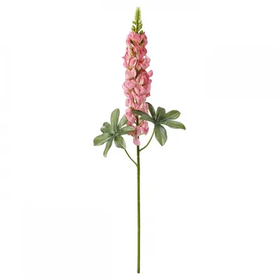 Купить СМИККА Цветок искусственный, Люпин, темно-розовый по выгодной цене в  интернет-магазине - IKEA
