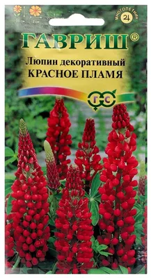 Семена Гавриш Люпин Красное пламя 0,5 г — купить в интернет-магазине по  низкой цене на Яндекс Маркете