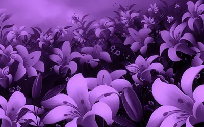 Фиолетовые цветы фон - 74 фото