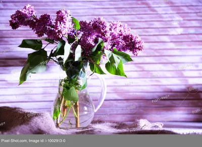 Красивые сиреневые цветы в вазе, на цветном деревянном фоне :: Стоковая  фотография :: Pixel-Shot Studio