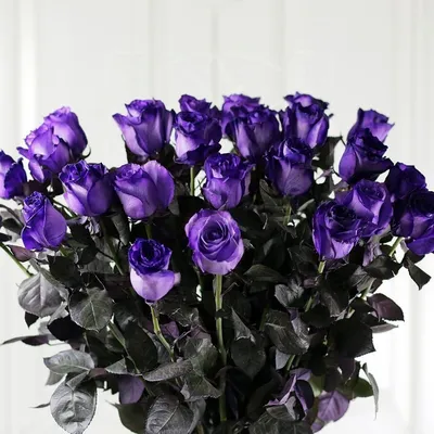 Сиреневые розы в Санкт-Петербурге - купить фиолетовые розы с доставкой
