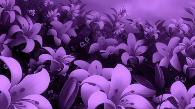 Фиолетовые цветы фон обои - обои на рабочий стол