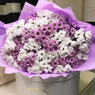 Бело-сиреневые кустовые хризантемы в букете за 7 090 руб. | Бесплатная  доставка цветов по Москве