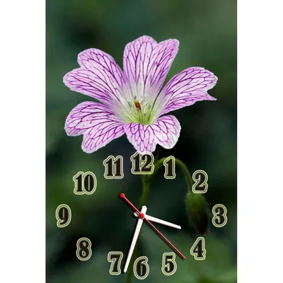 ᐉ Часы настенные Idea Цветы 30х45 см