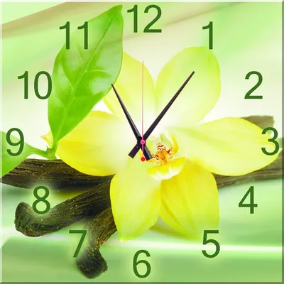 Часы настенные из стекла с фотопечатью Цветы ванили (300 х 300 х 4 мм)  Квадрат