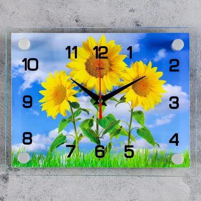 Часы настенные, серия: Цветы, \"Три подсолнуха\", 20х26 см - купить по низкой  цене в интернет-магазине OZON