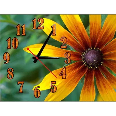 ᐉ Часы настенные Idea Цветы 30х40 см